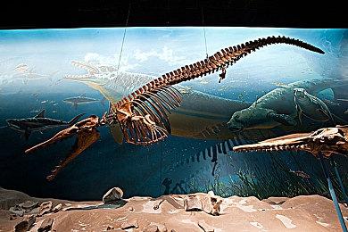 《最后的生还者》PC版Metacritic遭差评轰炸