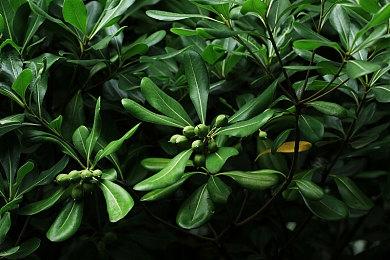 Take Two裁员 发行公司Private Division受波及